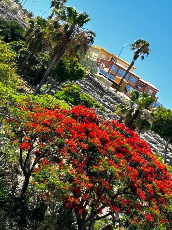 Villa Natali ,Luxury 3-Levels Large Villa On Tenerife, Ocean View, Private Poo L& Barbecue Area Costa Adeje  Exteriör bild
